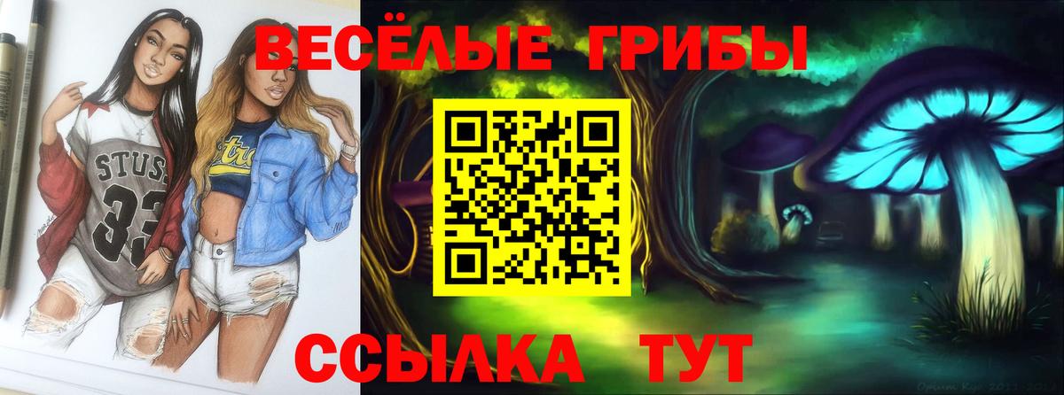 Псилоцибиновые грибы ЛСД  Вход с VPN  Ростов-на-Дону 