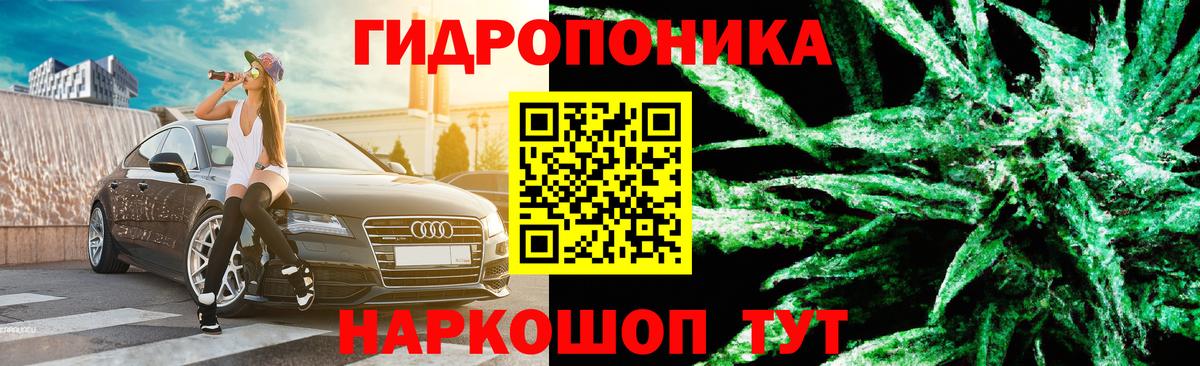 Шишки марихуана ГИДРОПОН  Конопля сатива  Ростов-на-Дону  МАРИХУАНА планчик  Вход с VPN 